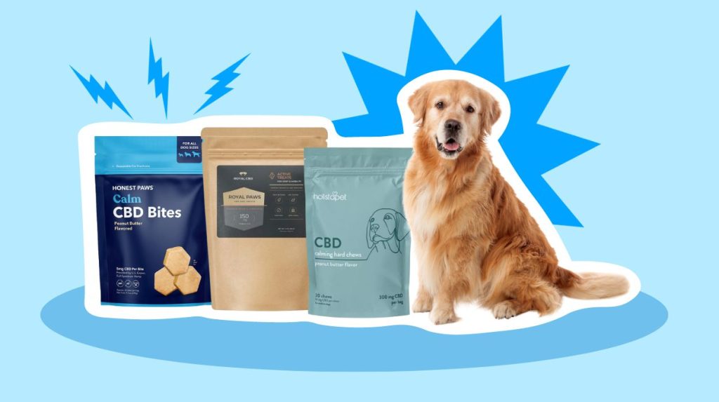 Tailored Wellness: CBD Treats for Dogs' Health and Happiness