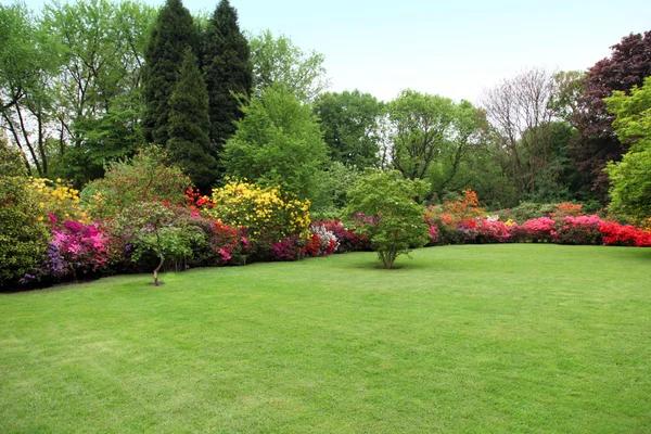 Nurturing an Aquarium Garden with Dry Fertilizer